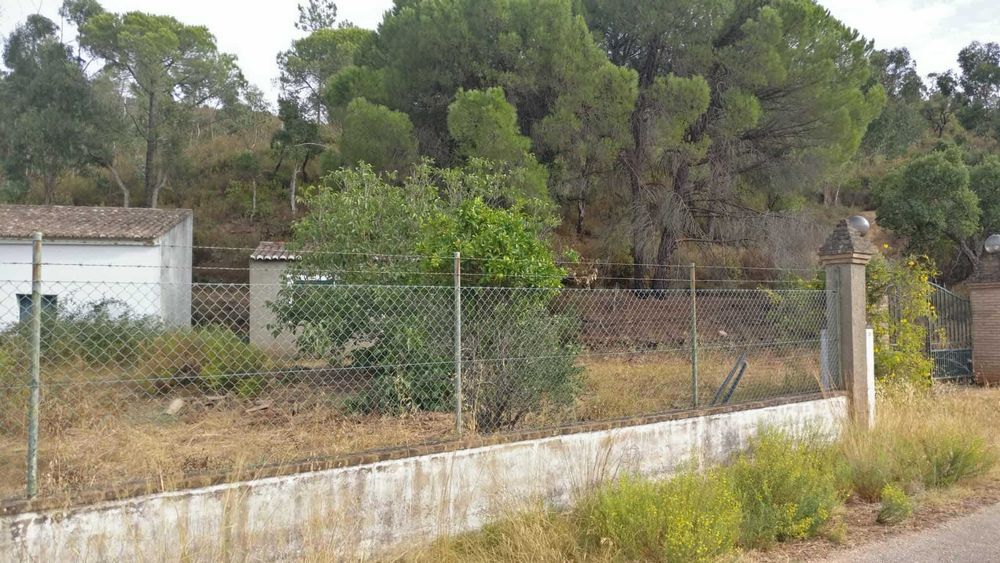 Quinta aprazível, perto de Silves com ribeira e com parcela urbana