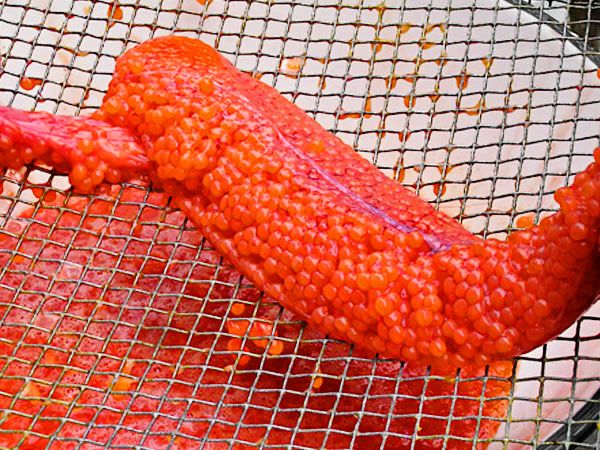 Икра красной рыбы Сьомга -имитация икры Капс систем
