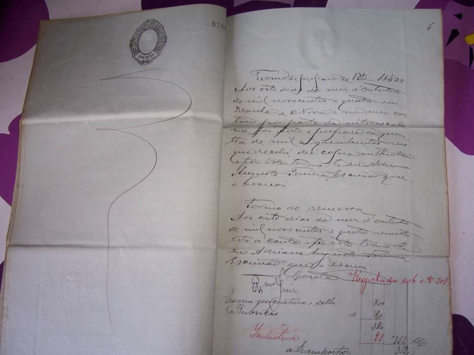Manuscrito Original de Decisão de Tribunal de Menores datado de 1904