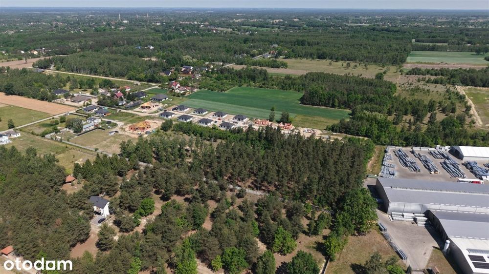 Działka leśna 3000 m² – Sochaczew, Wypalenisko
