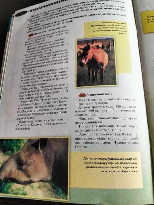 Ілюстрована енциклопедія "Світ тварин"