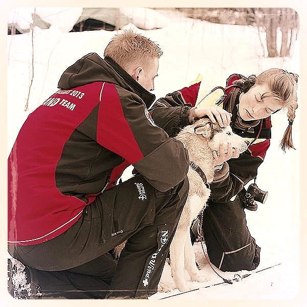 Spodnie zimowe Softshell North-Wind czarne (XS)