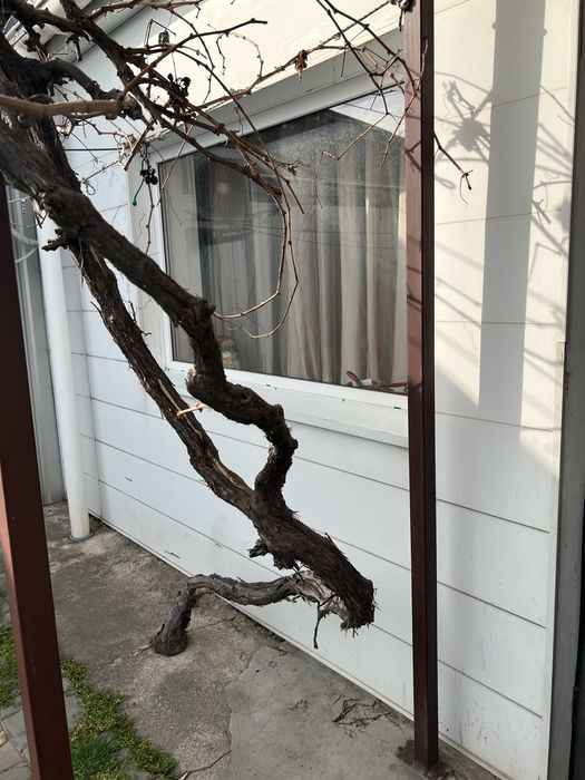 Продать дом Суворовский район