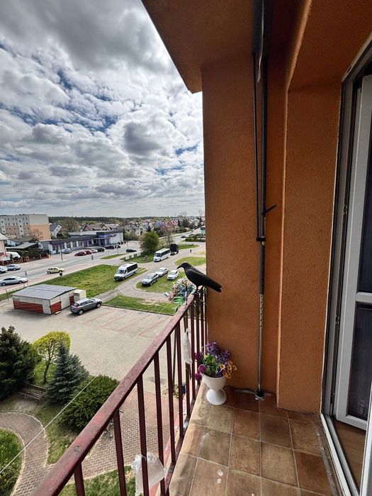 Mieszkanie 2 pokoje balkon komórka lokatorska Poddębice!!!