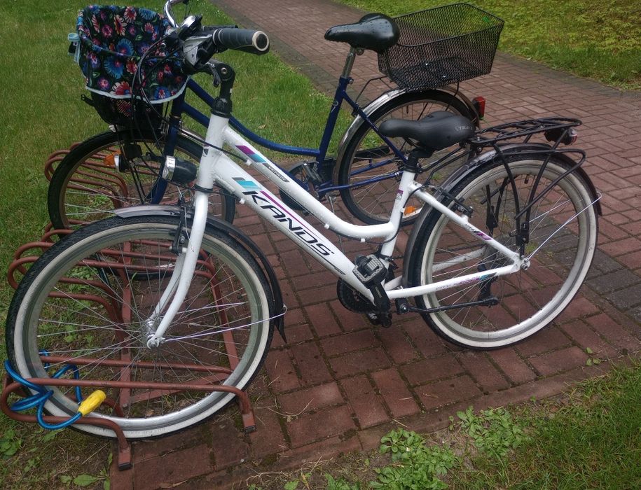 Rower miejski 26 kands Venus 15 Mielec • OLX.pl