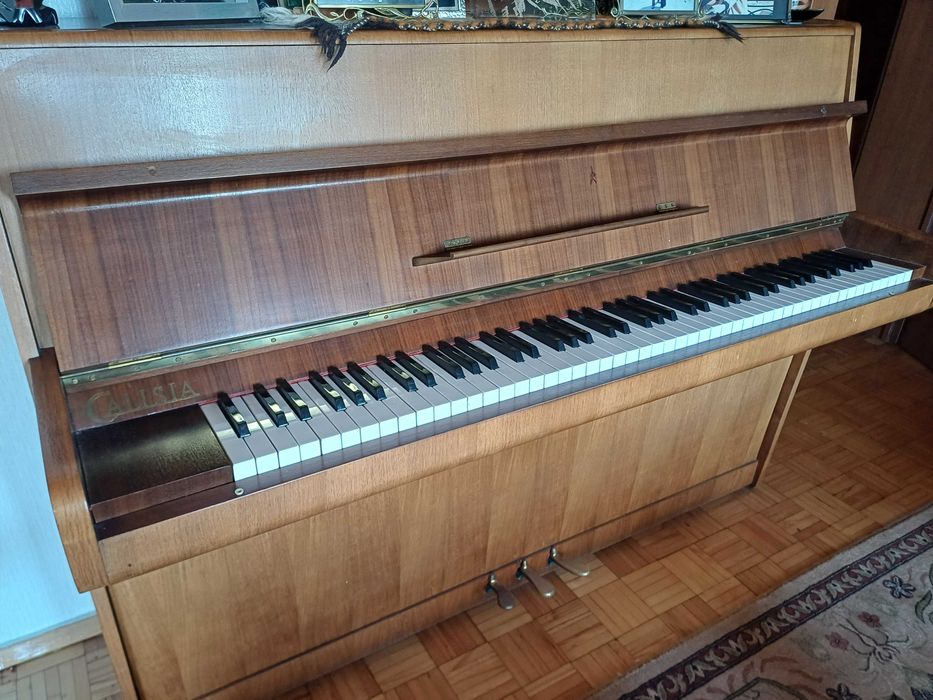 Pianino Calisia – klasyczne brzmienie, solidne wykonanie