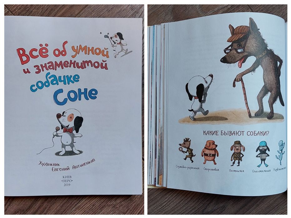 Детские книги.Молочный зуб дракона Тишки.Марси Уотсон ловит воришку.