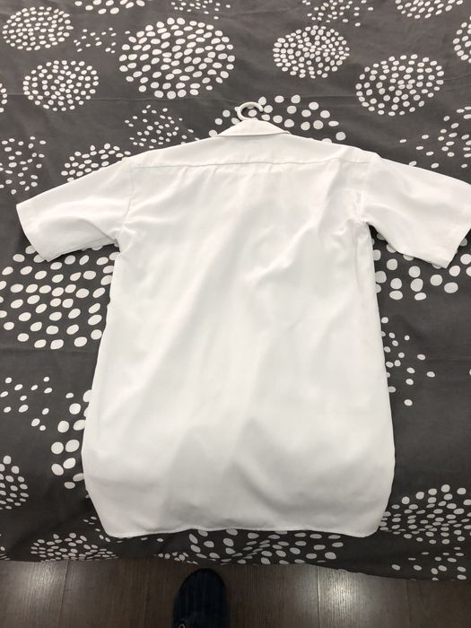 Camisa Dickies Icons