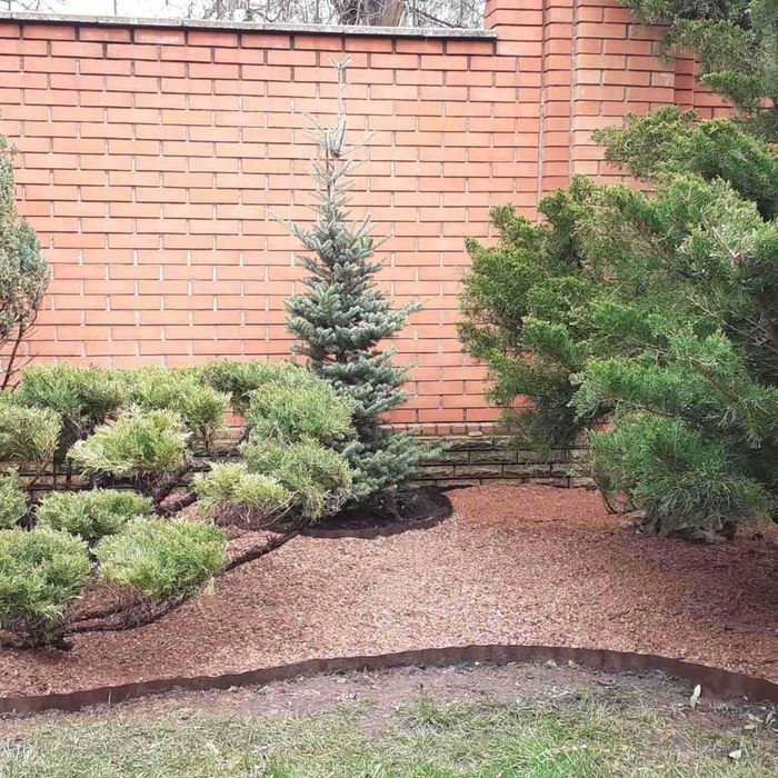 стрижка хвойних рослин. садівник