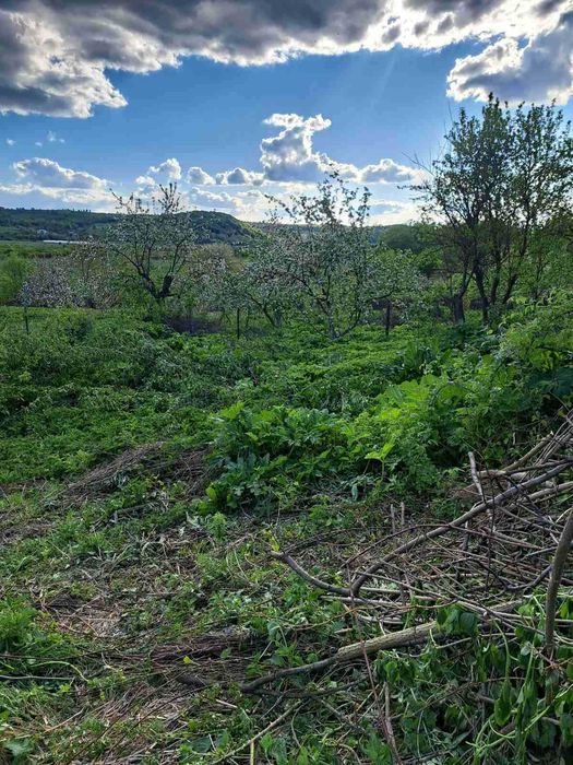 Продаж 22сотих під ,забудову ,будинок,с.Дмитровичі