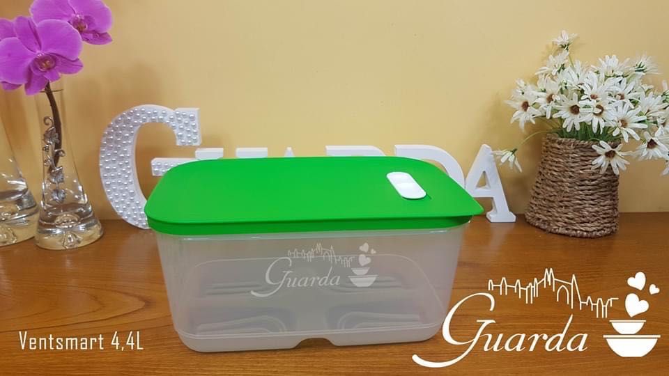 Caixa VentSmart de Refrigeração 4.4L Frutas/Legumes Tupperware