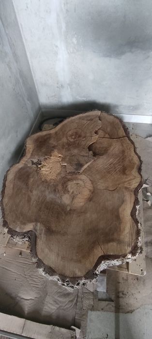 Слеб, срезиз ореха большой