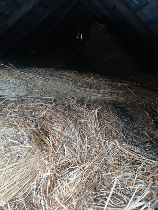 Oddam słome w snopkach za darmo