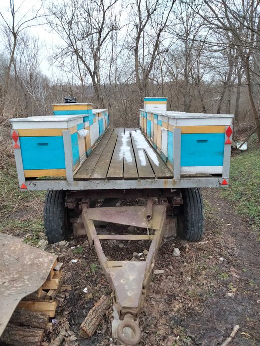 Мобільна пасіка для продуктивного бджільництва