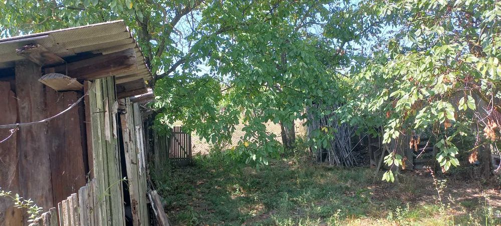 Продається будинок с.Вонігово, Тячівський р-н