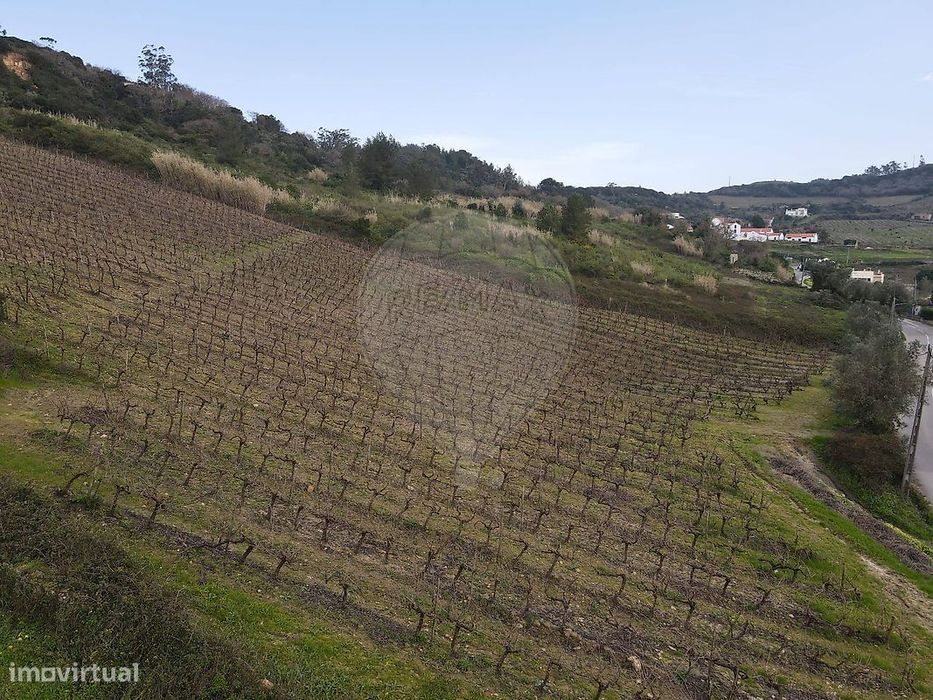 Terreno  para venda