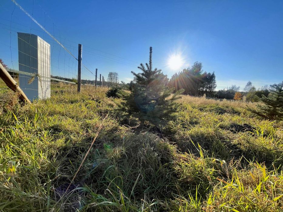 Działka budowlana WZ z prądem, 23km od Wyszkowa gm. Długosiodło - 976m