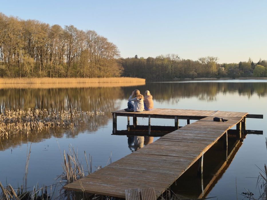 Wynajmę domek letniskowy nad jeziorem