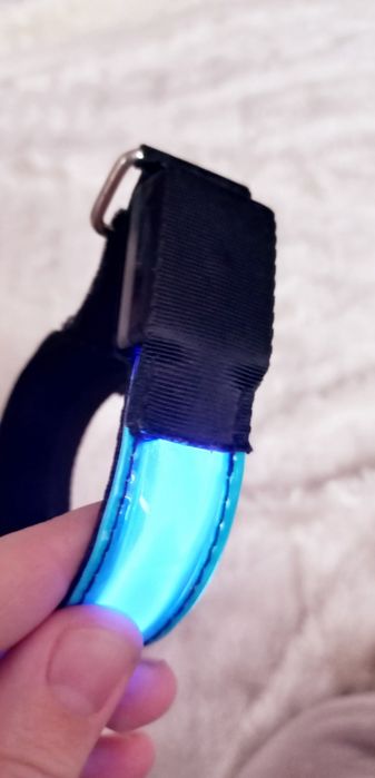 Led лед ошейник для собачки ціна за 2 шт