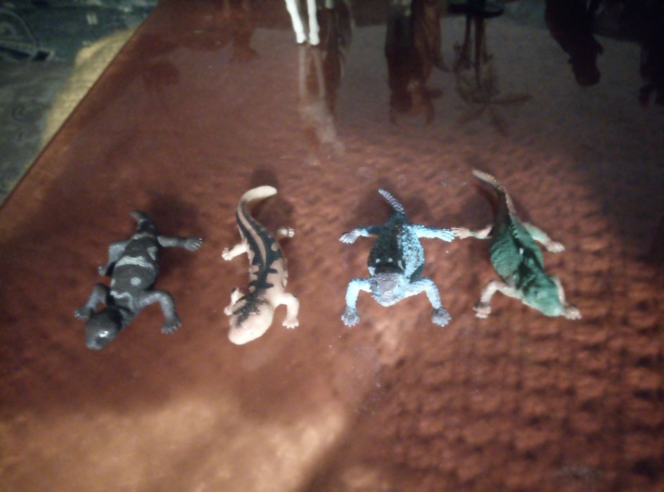 Животные разные и домашние и дикие