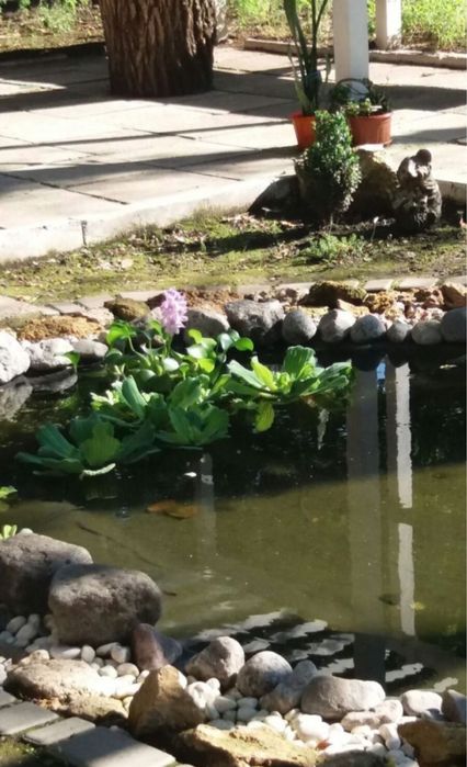 Квартира на Фонтане. Чистая, аккуратная