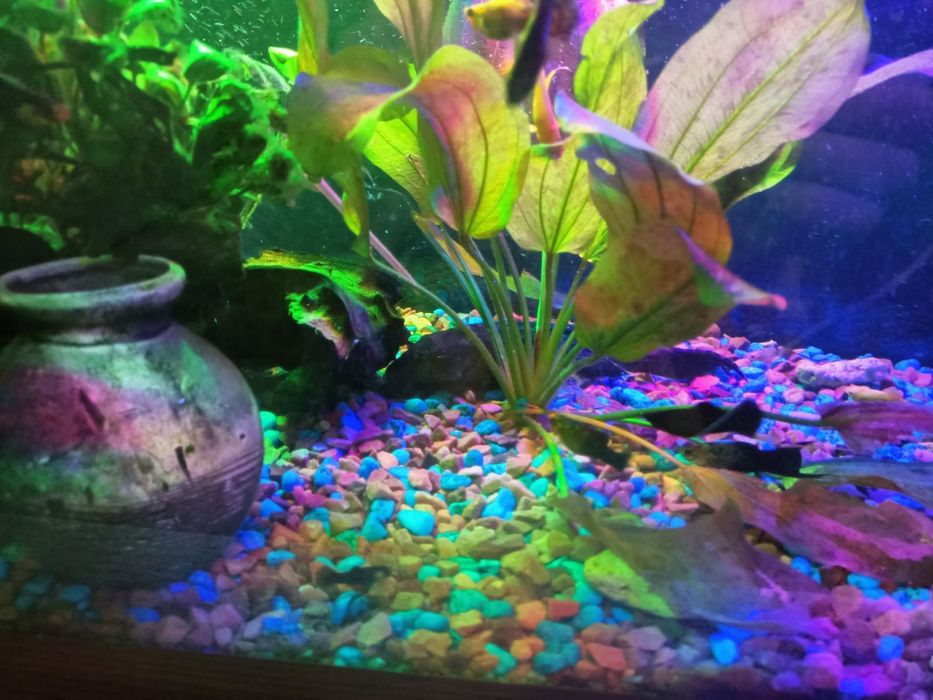 Продам акваріум на 240л.