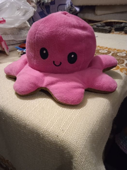 Восьмыног не дорого