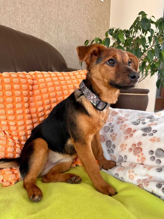 Urocza Zonia czeka na rodzinkę!