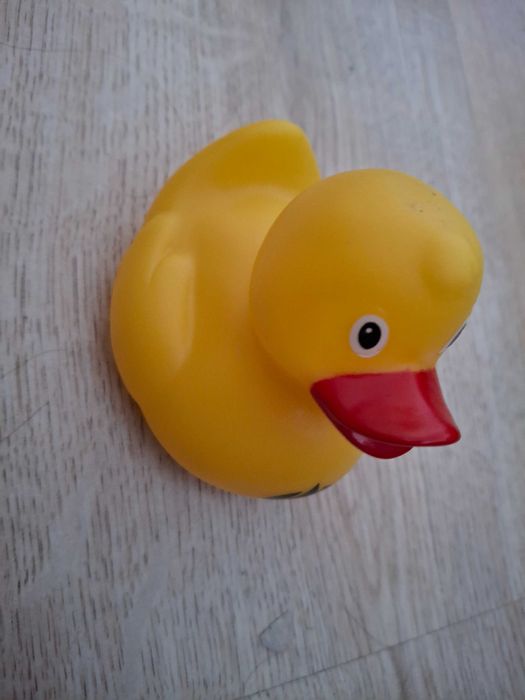 Gumowa kaczka do kąpieli