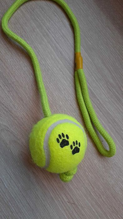 Bola com corda para cão brinquedo novo