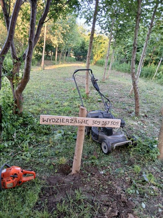 Wydzierżawię działkę rekreacyjną - Widok 3