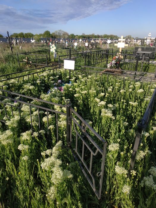 Уборка могил, покраска оград, установка столов, установка оград