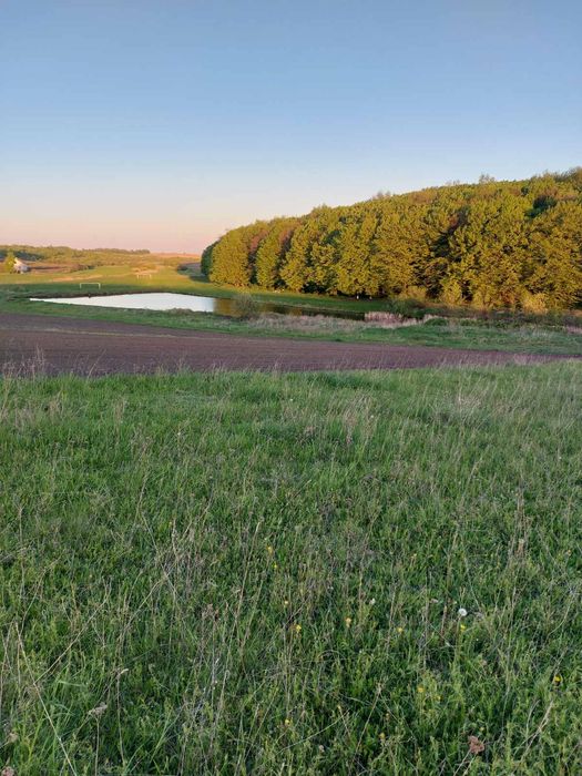 Продам земельну ділянку в селі Банюнин, Львівська обл.
