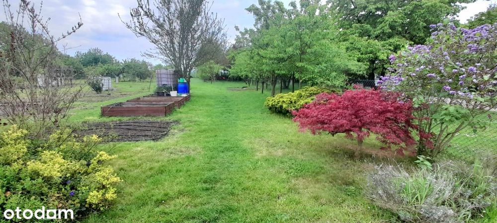 Przestronne mieszkanie z 800 m² ogrodem