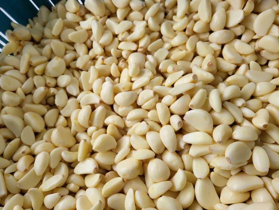 Czosnek obierany ząbek