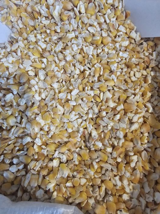Бита кукурудза в мішках 25 кг