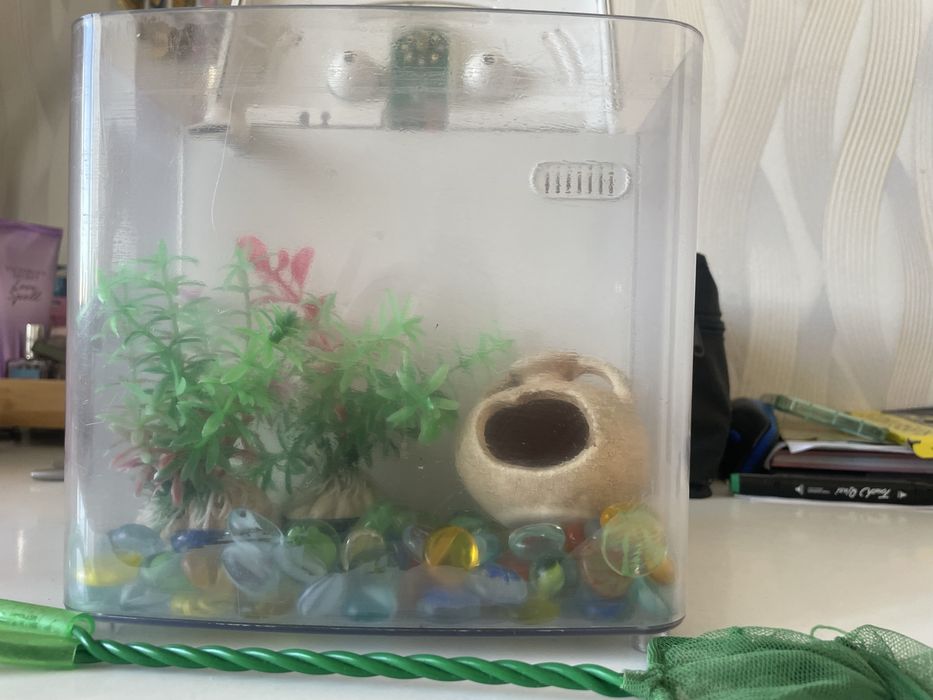 Міні-акваріум з комплектом (для півника або маленьких рибок)
