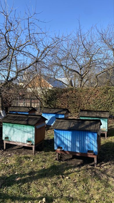 Продам вулики в хорошому стані