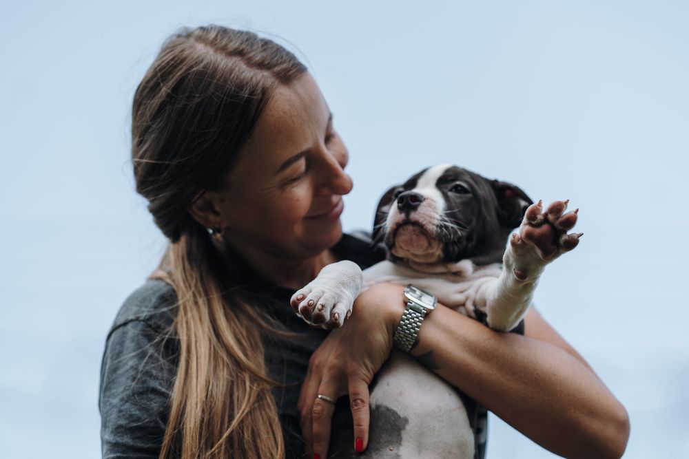 Шикарна куколка стафа