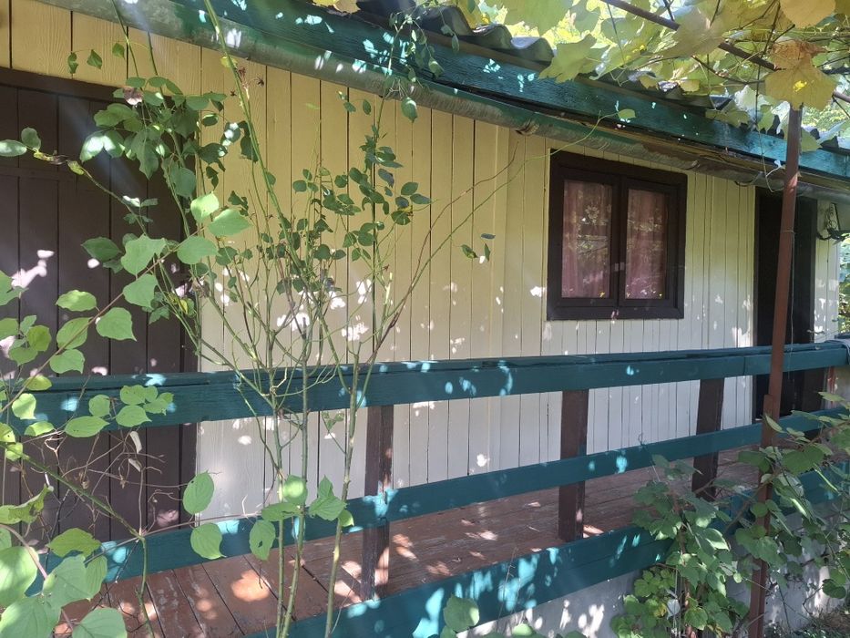 Дачний  участок  , с. Оноківці ( Лиса Гора)