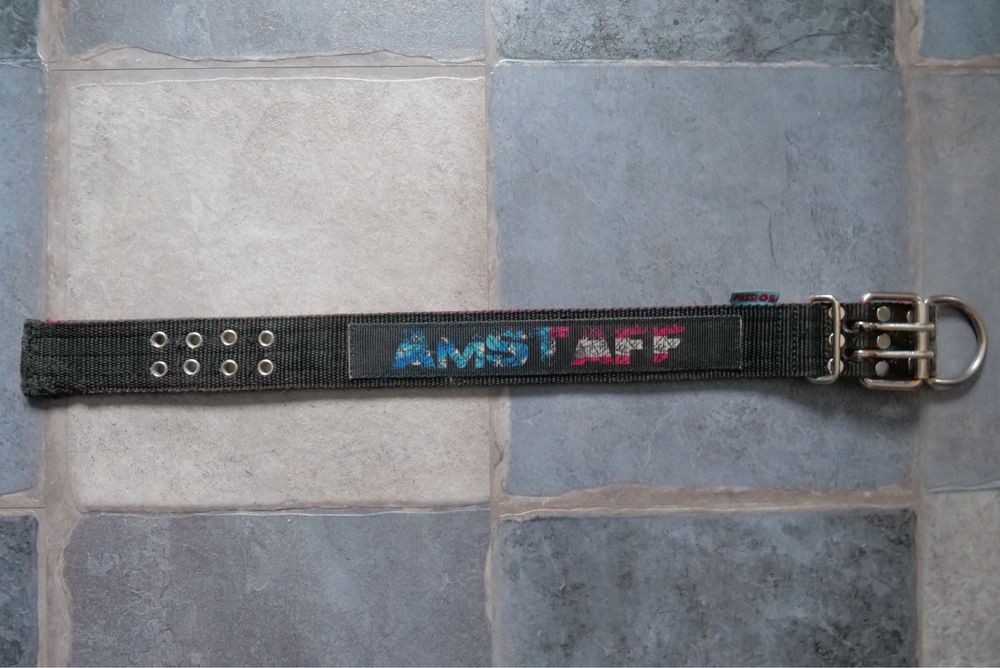 Obroża amstaff passion szeroka 5 cm