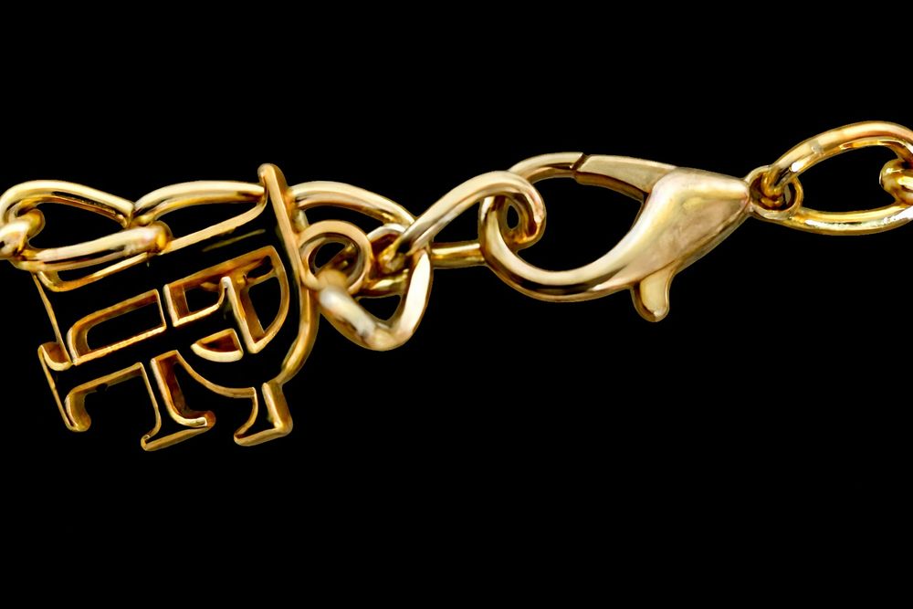 Oryginalny pasek Paparazzi Fashion. Nowy