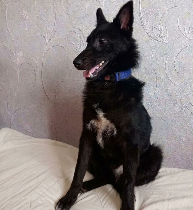 Хлопчик в добрі руки