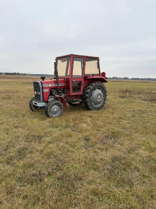 Massey Ferguson 255