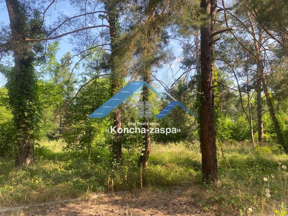 Ексклюзивна ділянка в лісовій частині. Козин. Конча Заспа