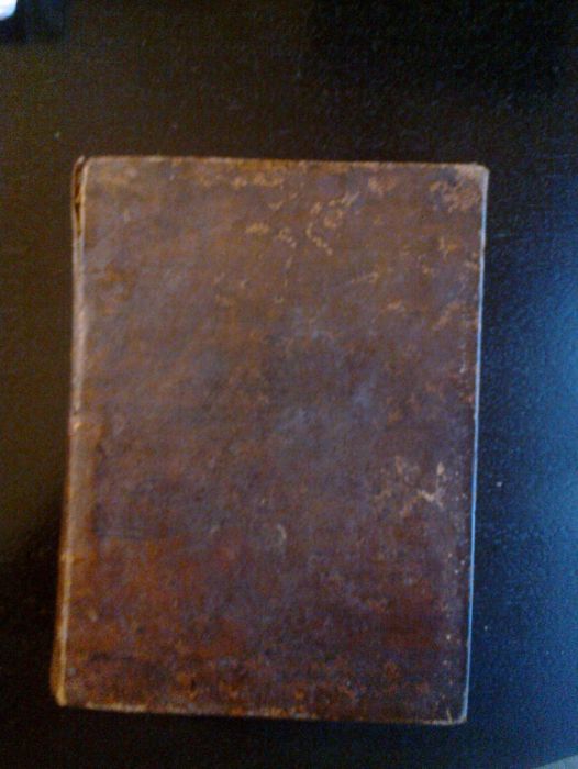 Diccionario Prosodico de Portugal e Brasil Deus, João de Carvalho, Ant