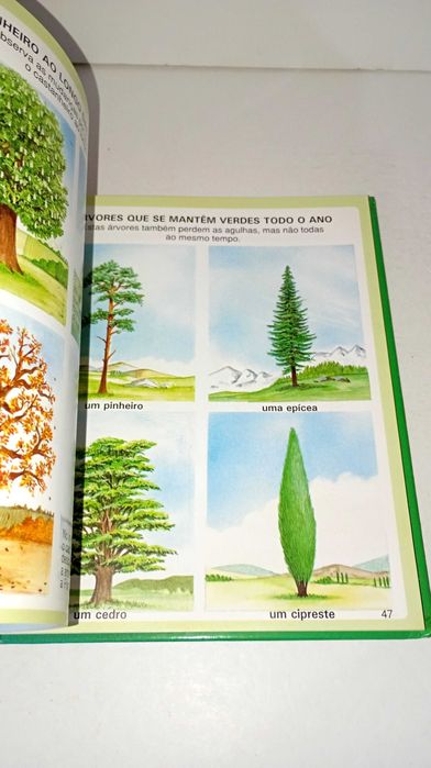 Dicionário por images da Natureza