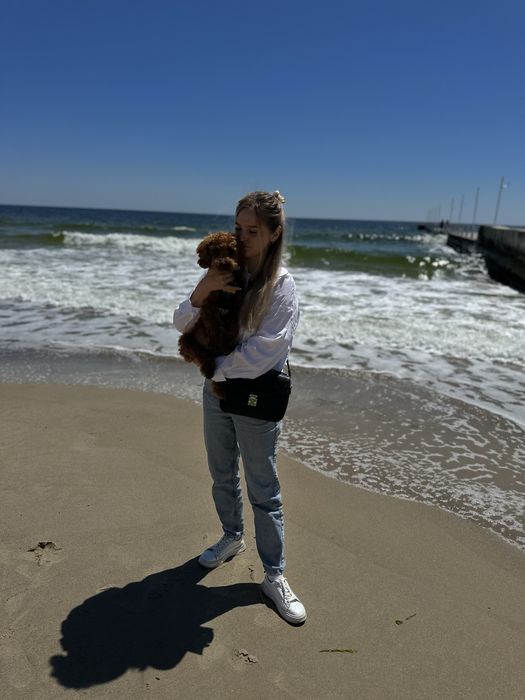 Шукаю наречену!  Я хлопчик Мальтипу