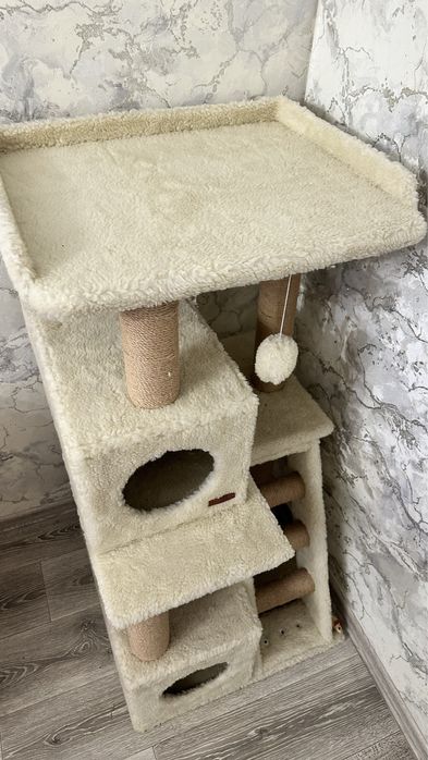 Кошачій булиночок. Когтіточка