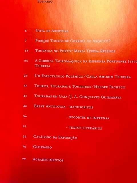 No Tempo das Touradas de esplêndida corrida a tradição repudiada